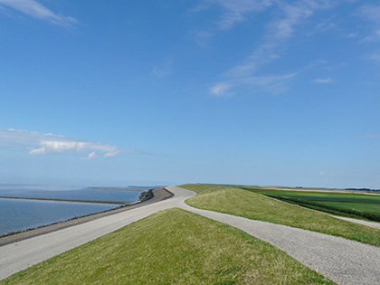 loopbaanbegeleiding